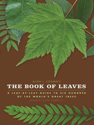 cover image of The Book of Leaves